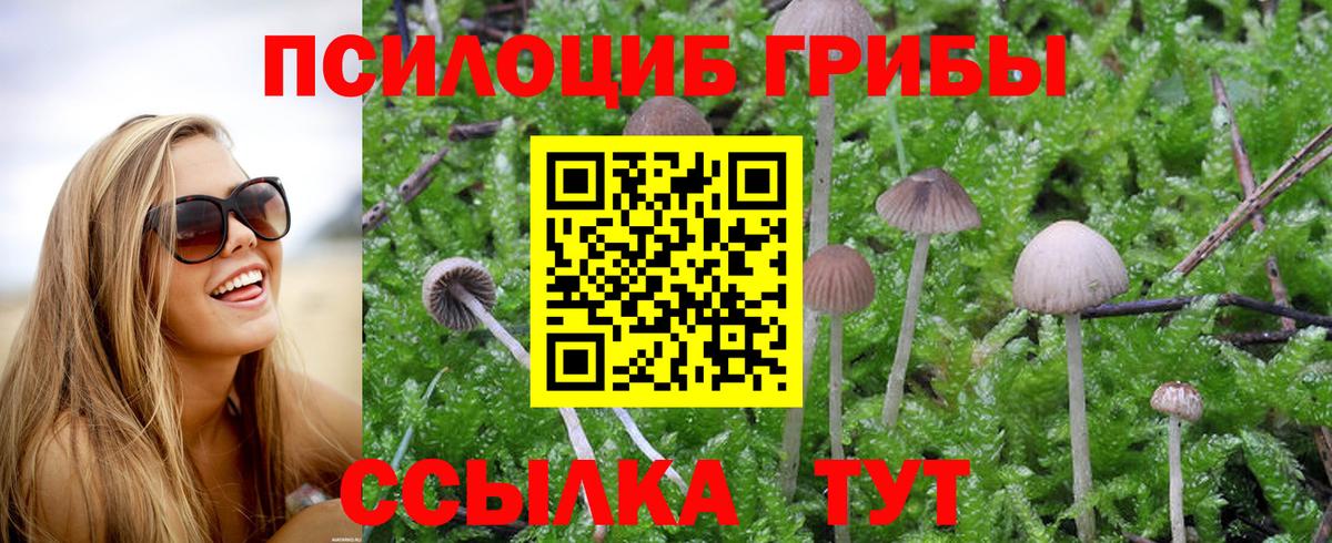 Псилоцибиновые грибы Magic Shrooms Оренбург