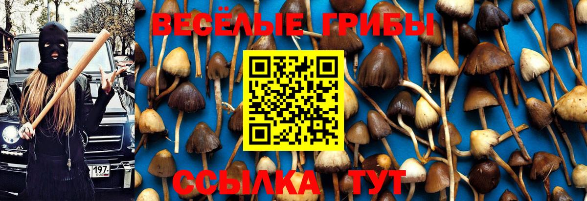 Галлюциногенные грибы Cubensis  Вход с VPN  Псилоцибиновые грибы мухоморы  Оренбург 